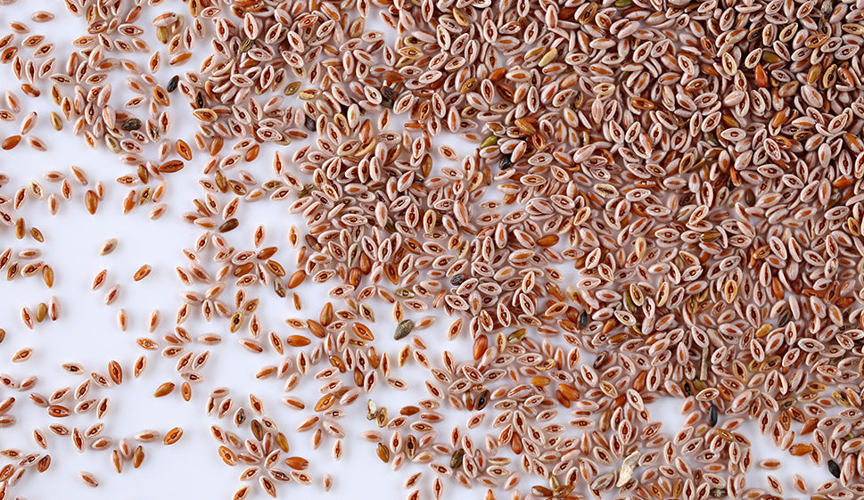 WHAT IS SOLUBLE FIBER?