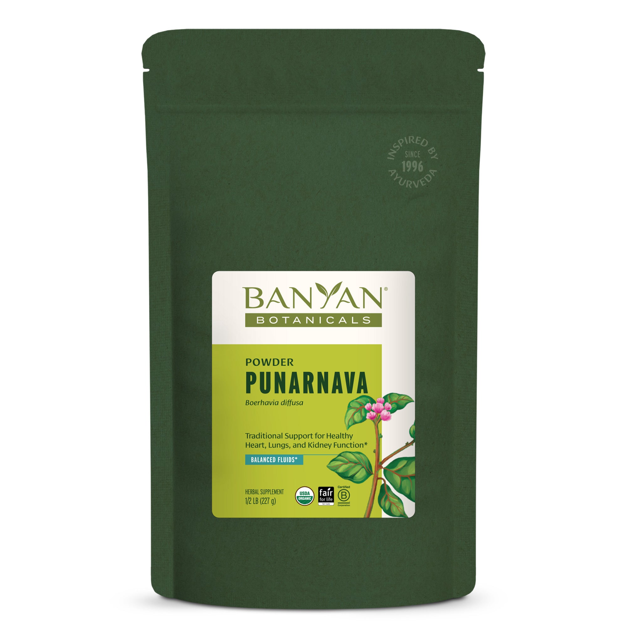 Punarnava