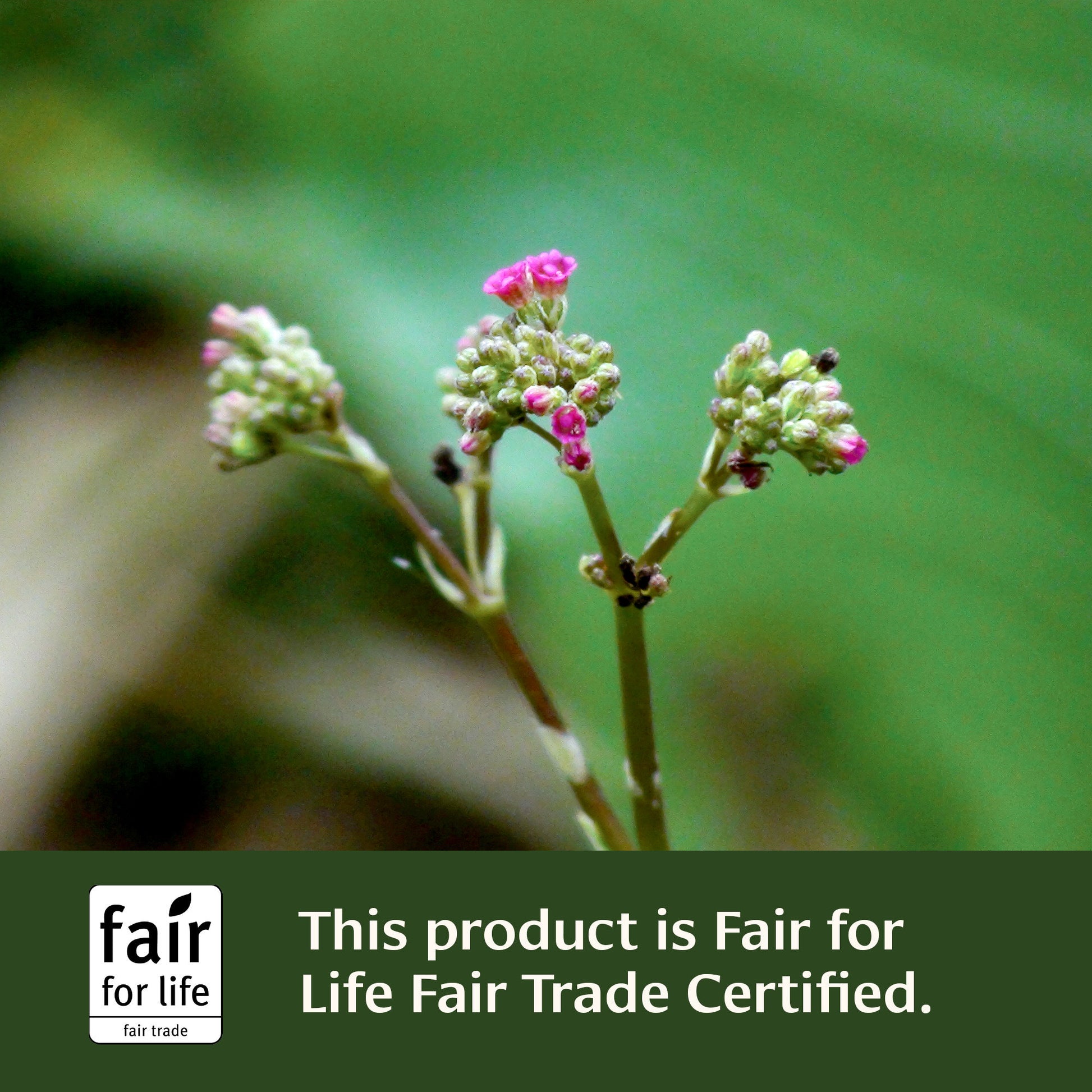 This product is air for Life Fair Trade Certified