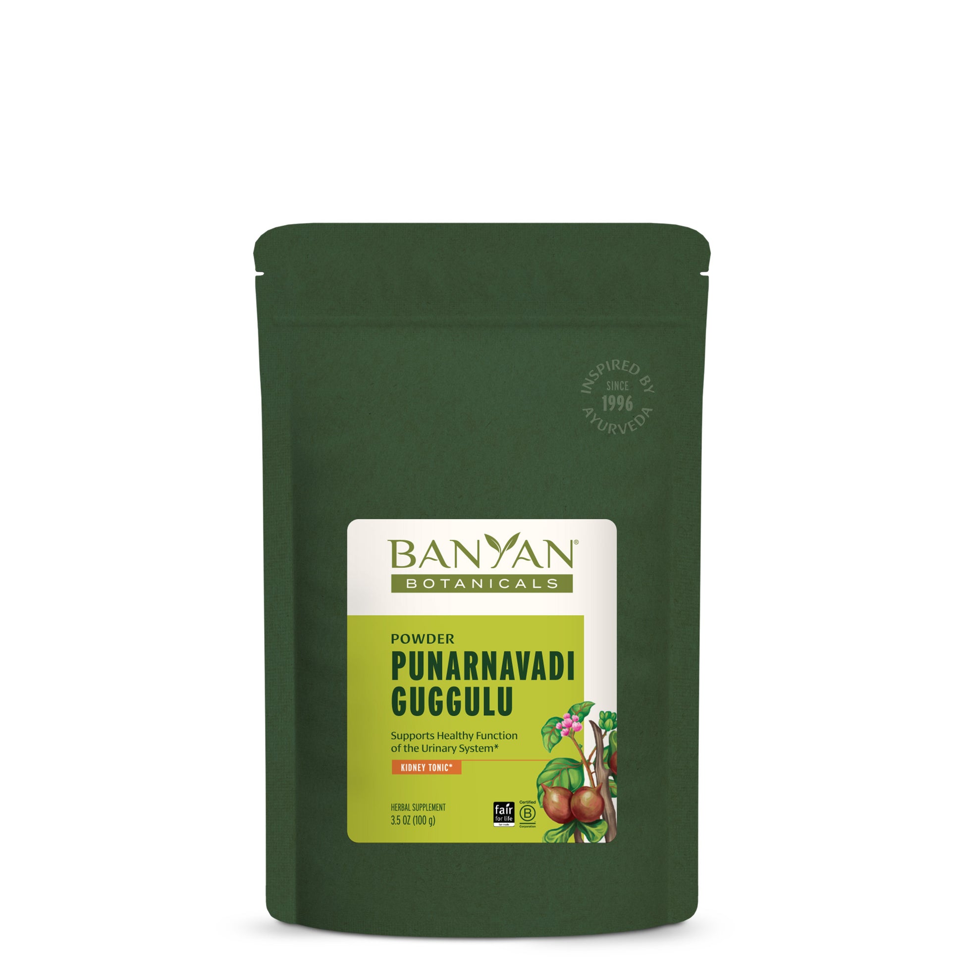 Punarnavadi Guggulu powder in green pouch on white background