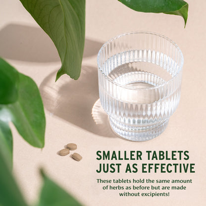 Punarnavadi Guggulu Tablets -Smaller tablets, same efficacy