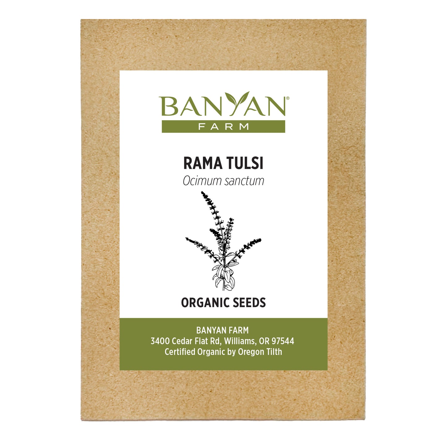 Rama Tulsi Seed Packet
