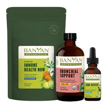 Bronchial Syrup - soothes throat and respiratory system – Banyan Botanicals