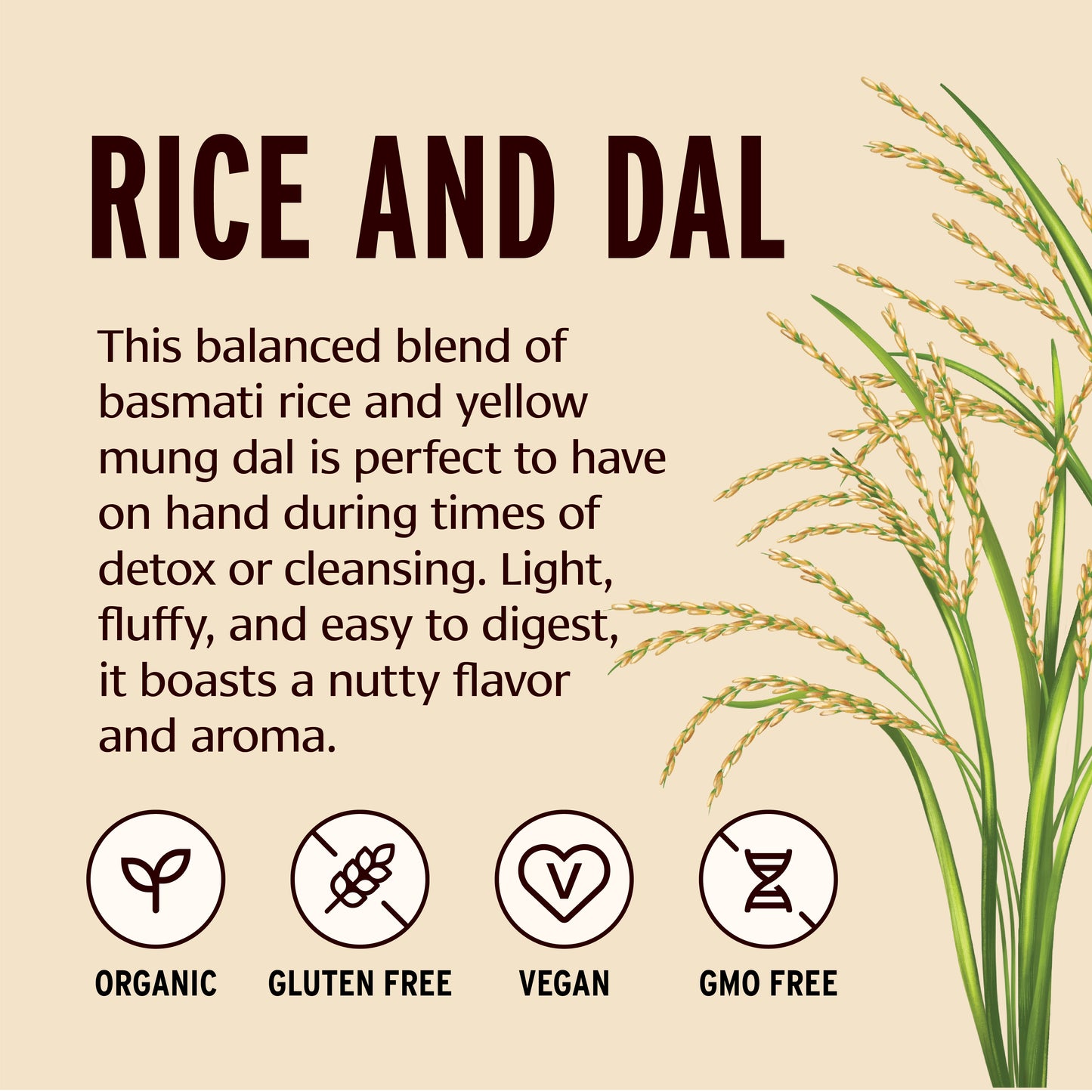 Product description of rice and dal blend with rice plant illustration on beige background