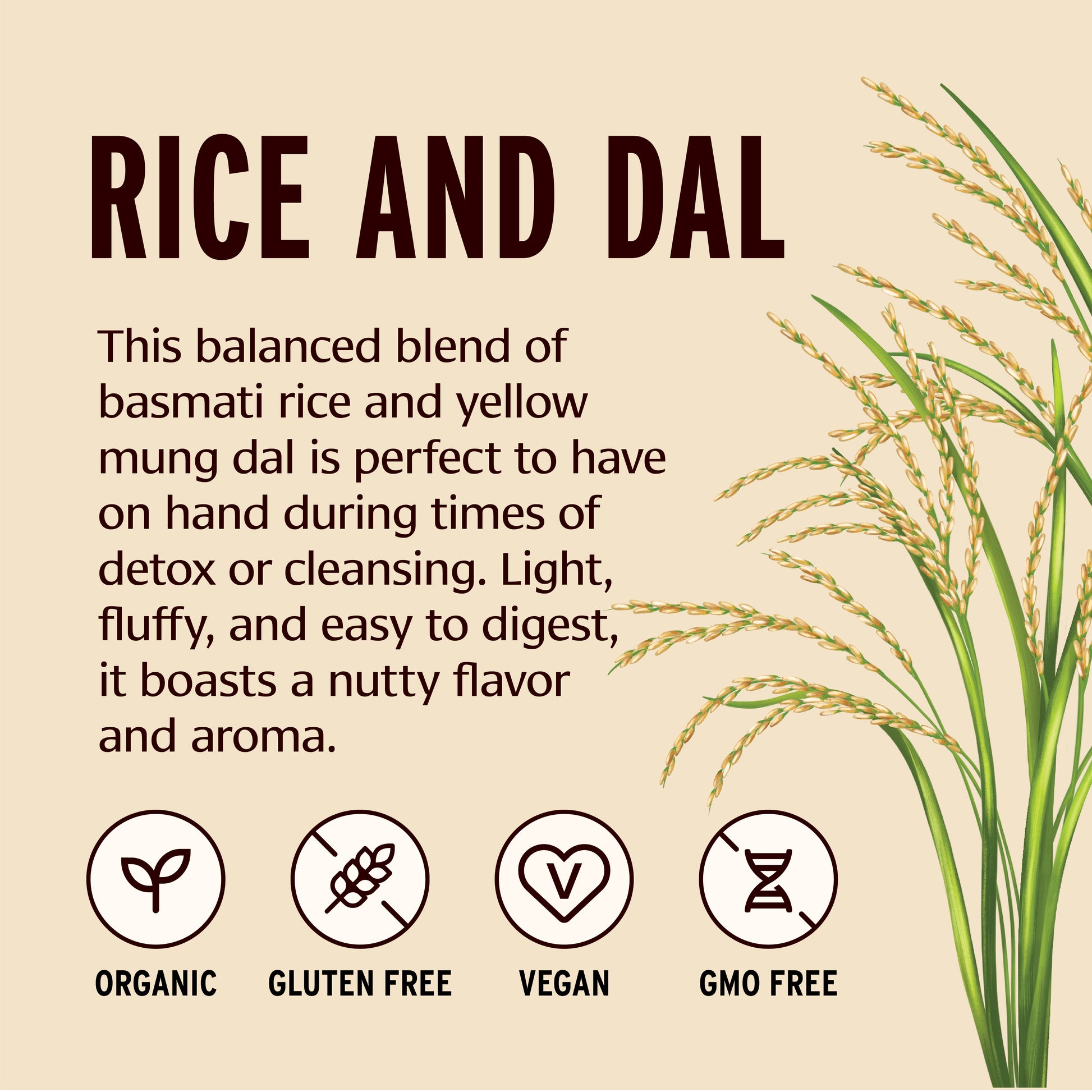 Product description of rice and dal blend with rice plant illustration on beige background