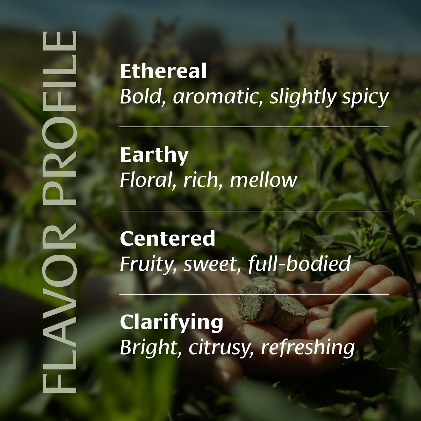 Ritual Tulsi™ Gift Box