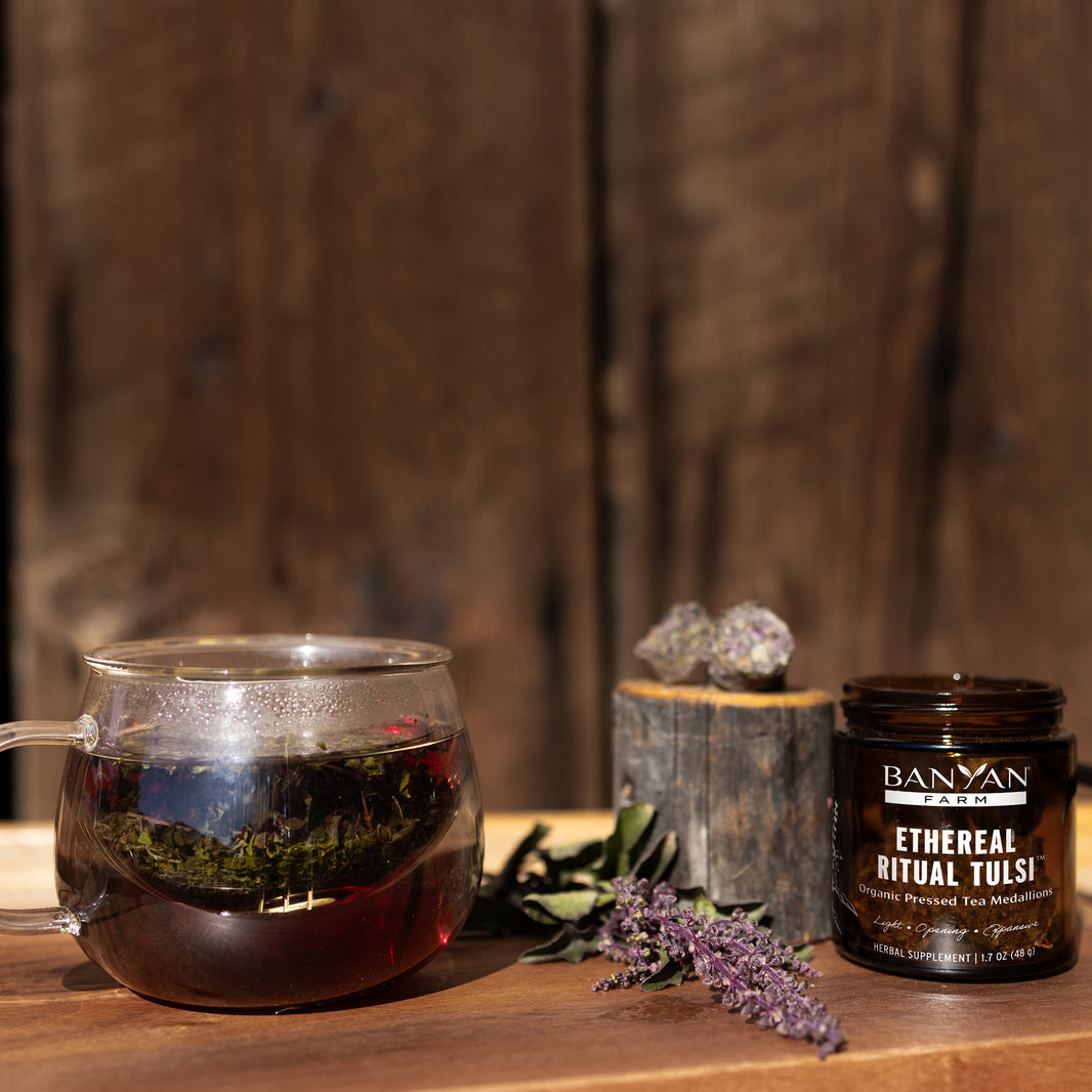 Ritual Tulsi Teas Organic Pressed Ceremonial Tea Collection Banyan