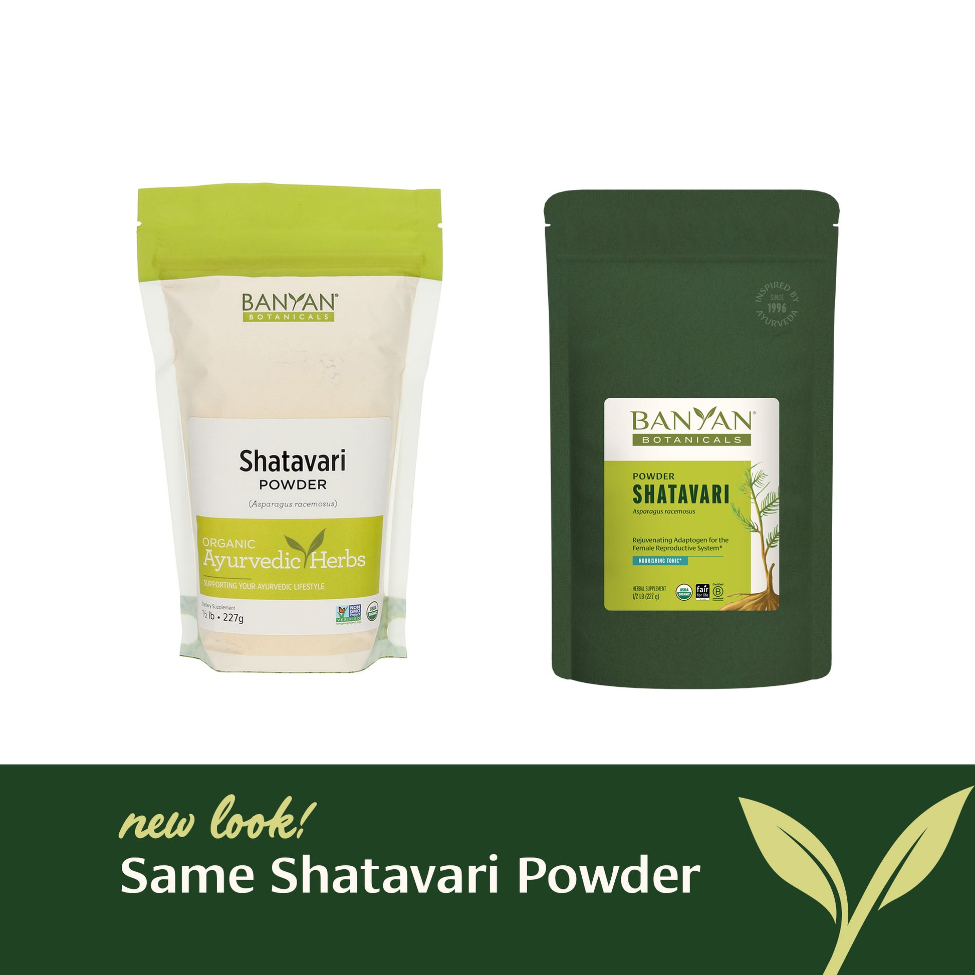 1/2 lb: Shatavari Powder Rebrand