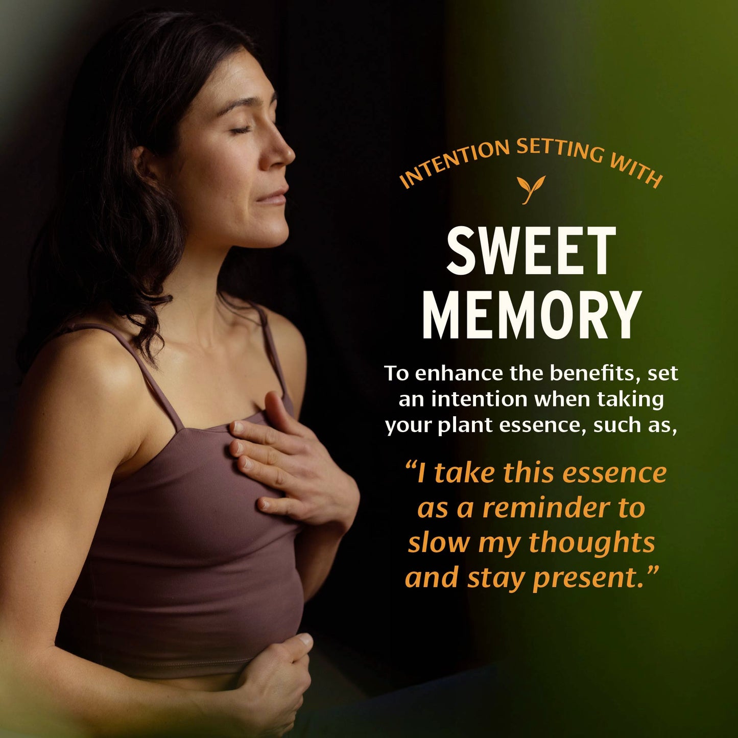 Sweet Memory™ Plant Essence