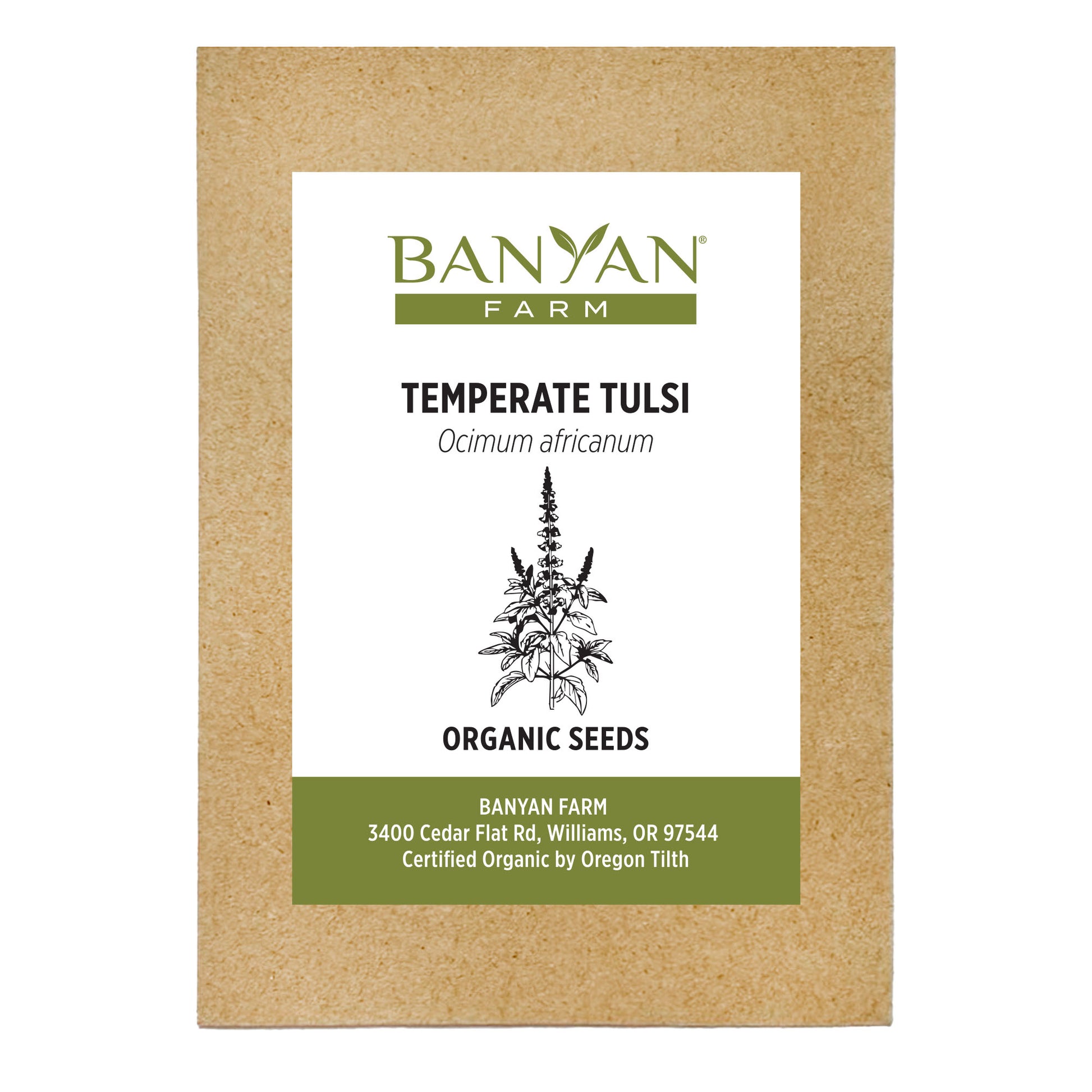 Temperate Tulsi Seed Packet