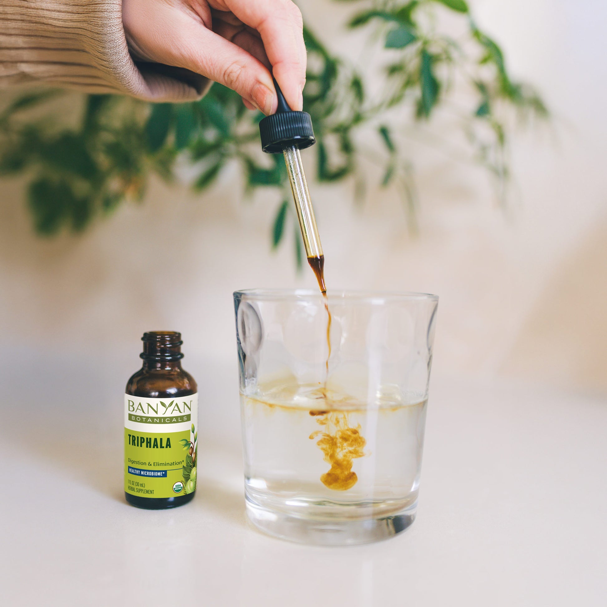 Triphala Liquid Extract Dropper in glass of water