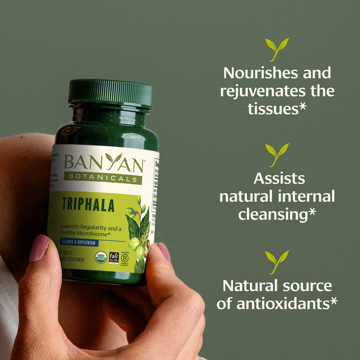 Triphala Tablets - digestion, elimination and healthy gut microbiome ...