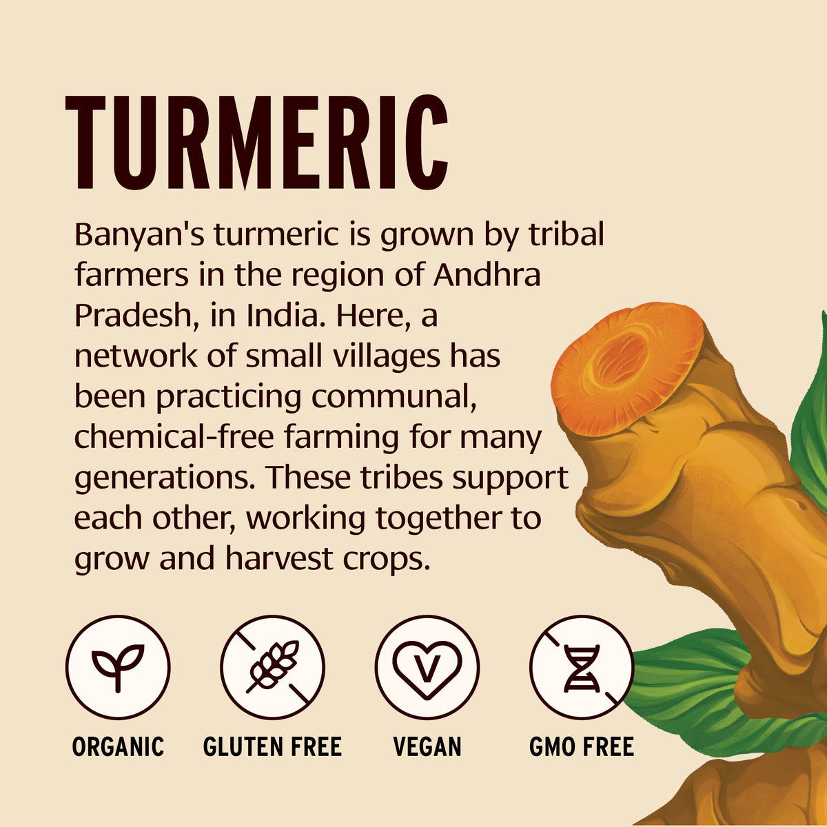 Turmeric Powder | Organic Turmeric with Curcumin | Organic Spices ...
