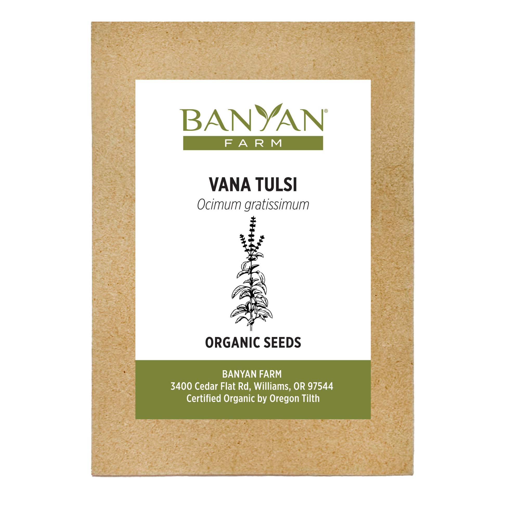 Vana Tulsi Seed Packet