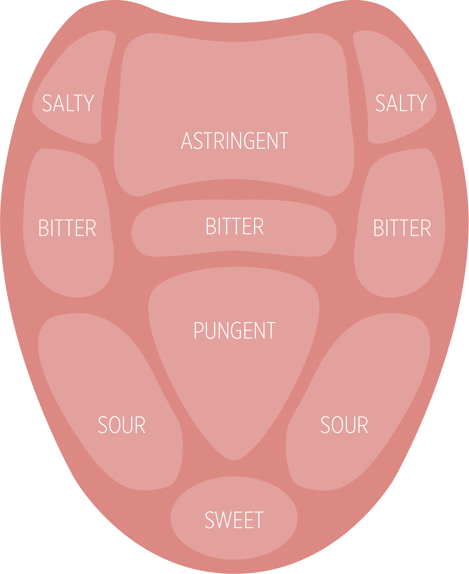 Sense Of Taste Tongue Diagram